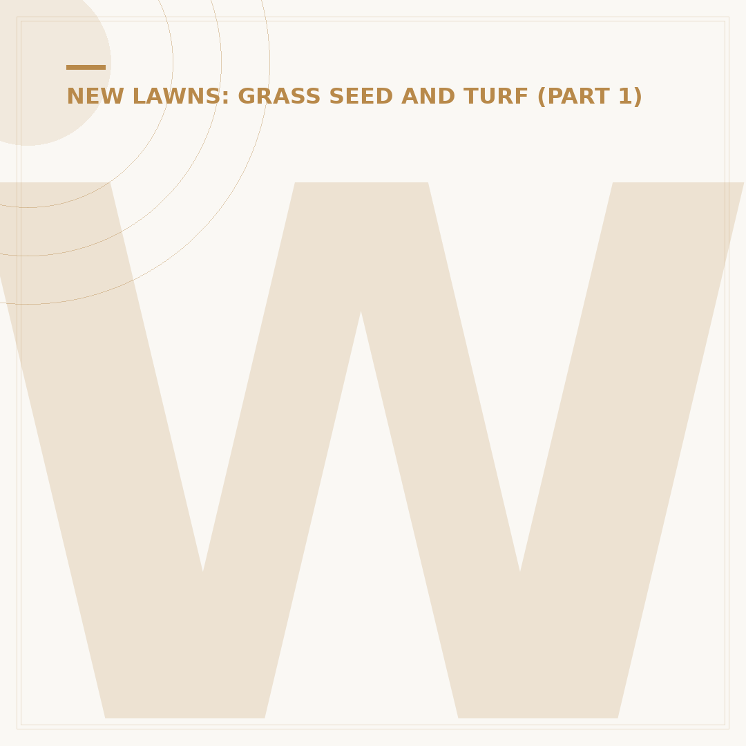 When to Reseed a Lawn