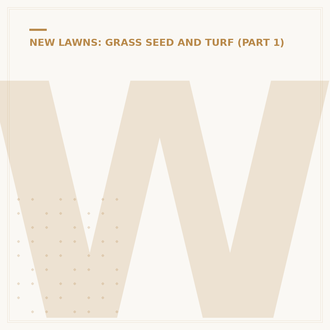 When to Grass Seed Your Lawn
