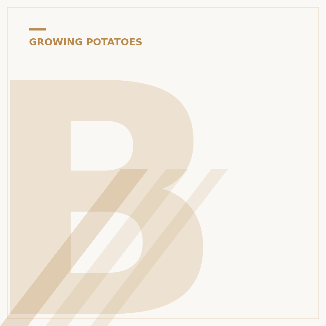 Best Time to Grow Potatoes