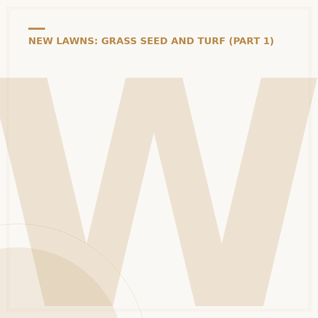 When to Lay Grass Seed