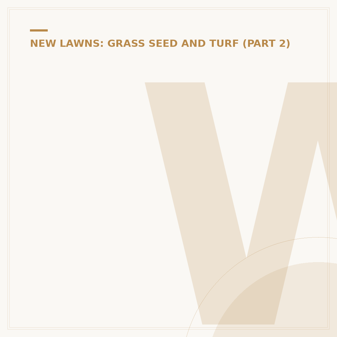 When to Lay Lawn: The Optimal Times
