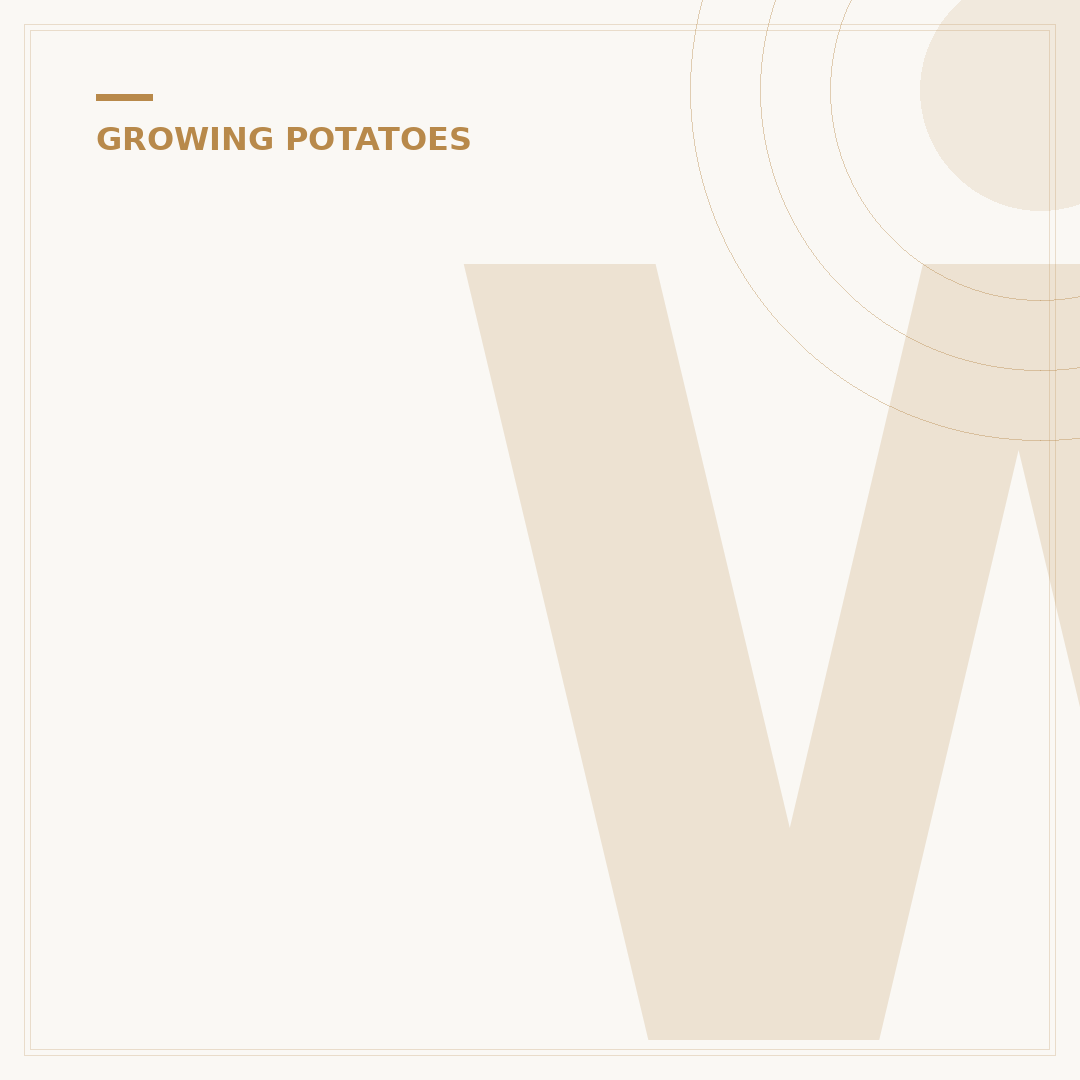 When to Plant Potato Seeds