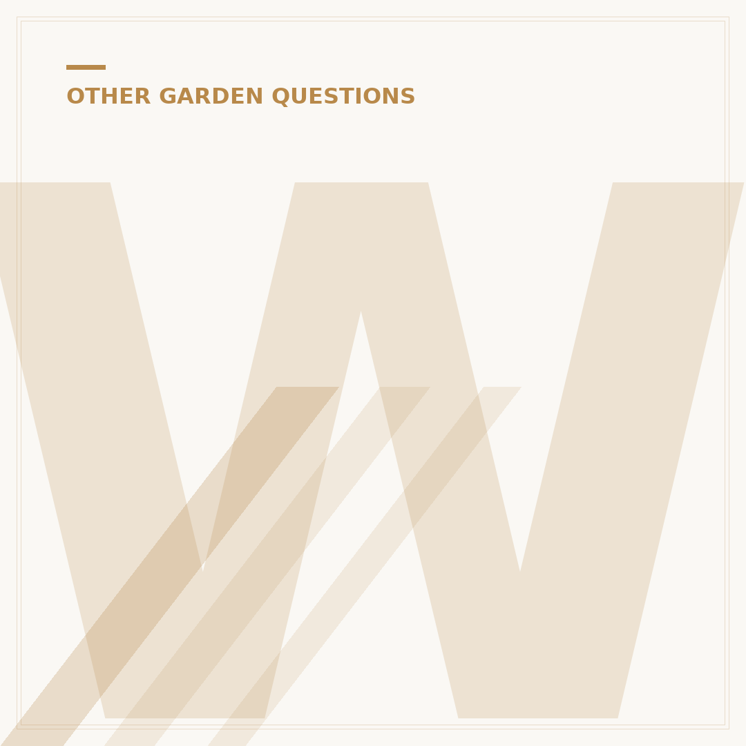 When to Plant Sprouts for Kitchen Garden Success