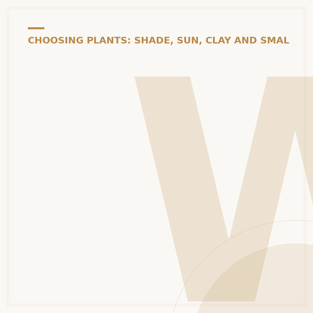 When to Plant Sun Flowers