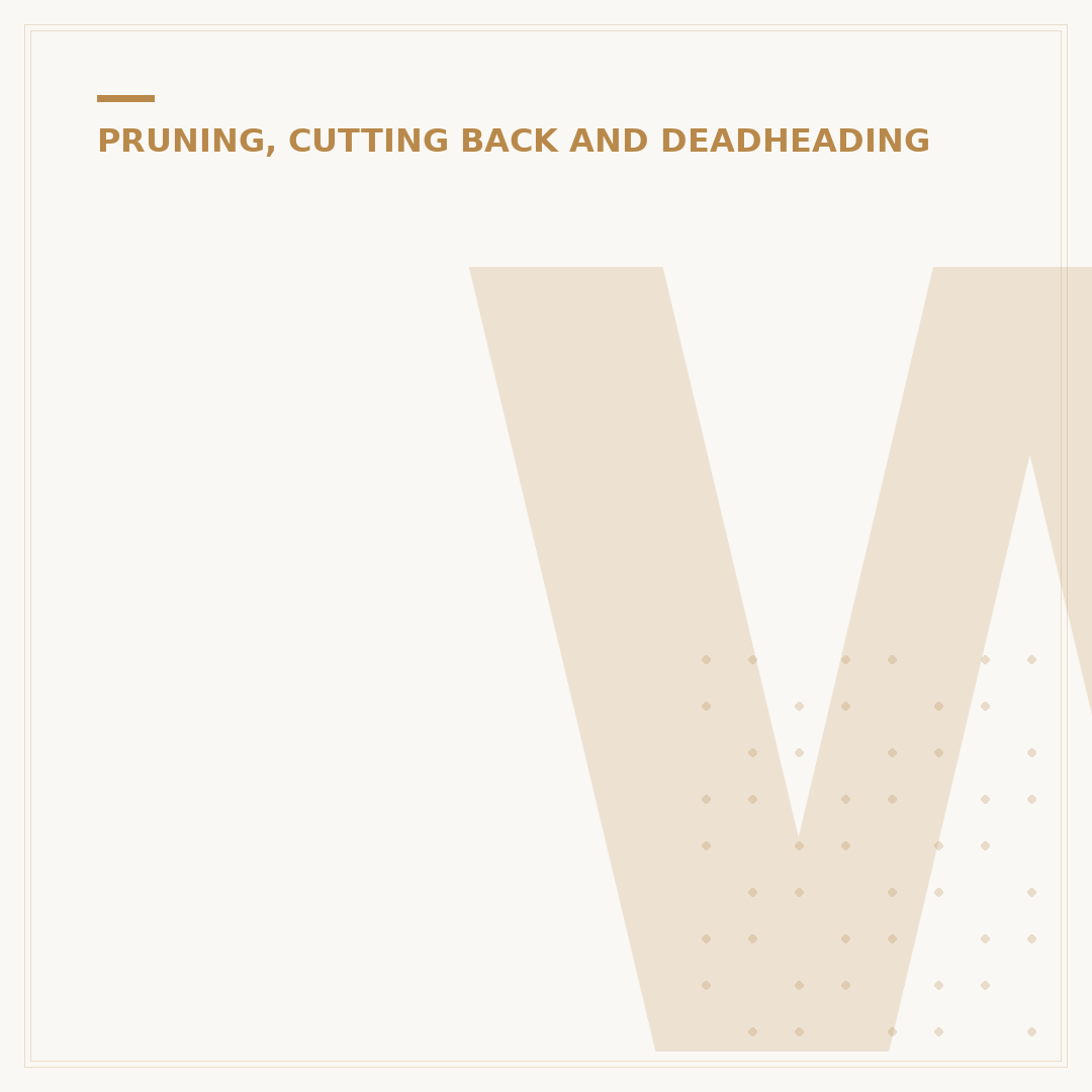 When to Prune Black Elder