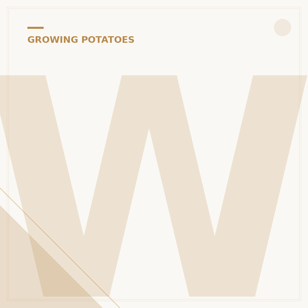 When to Set Seed Potatoes: Timing Your Planting