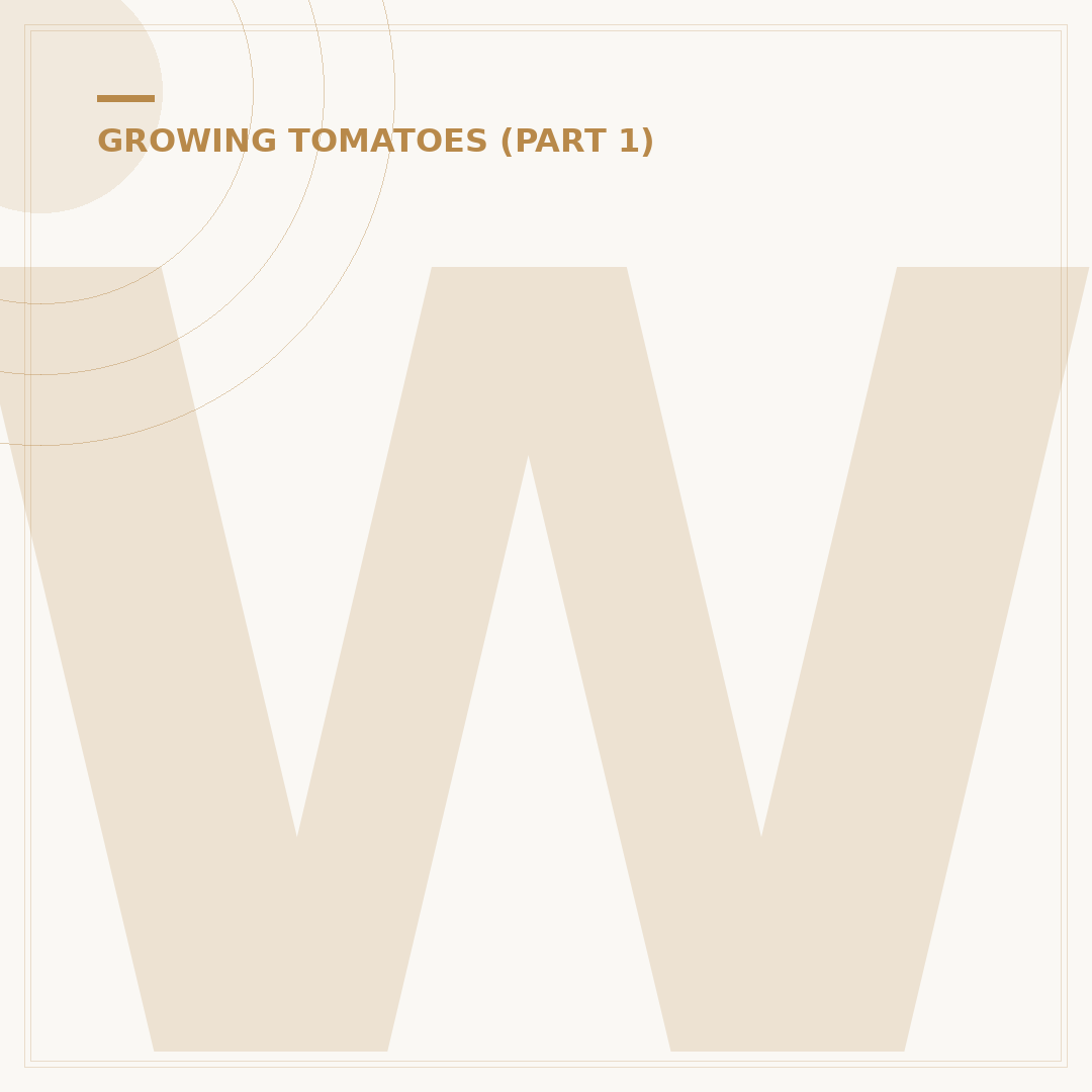 Where to Grow Tomato Plants: Ideal Spots