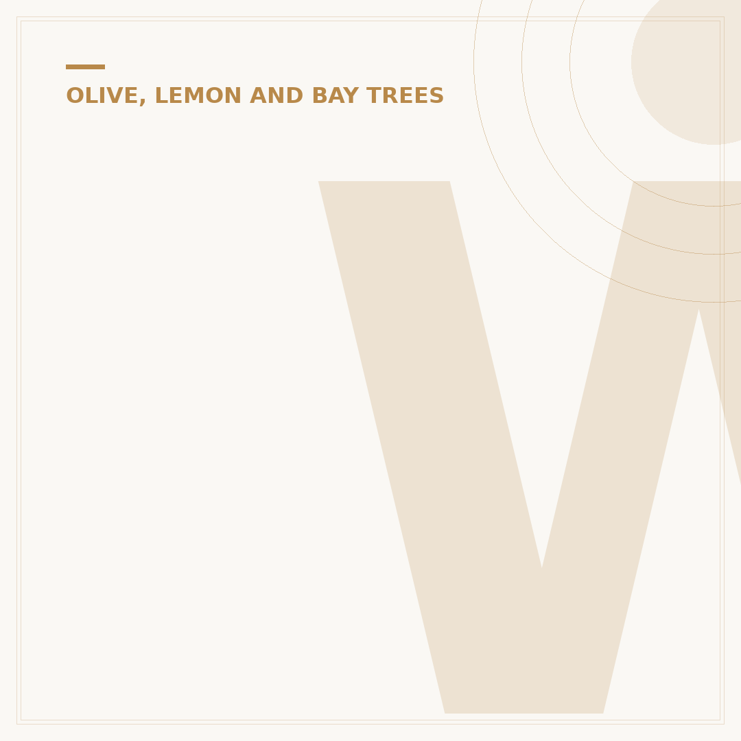 Where Do Lemon Trees Come From? Origins & History