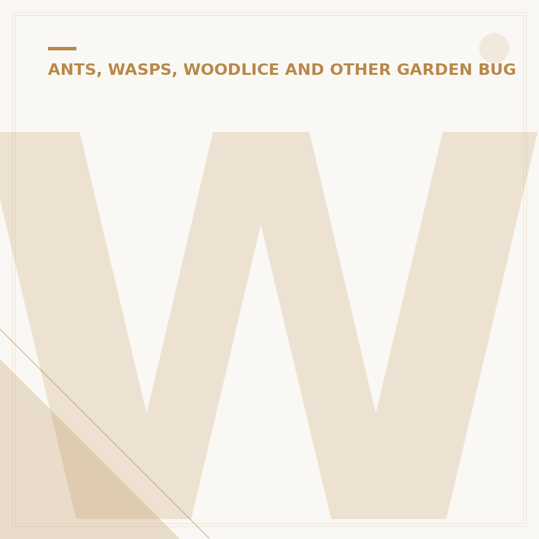 Where Do Wasps Nest: Common Locations and Signs