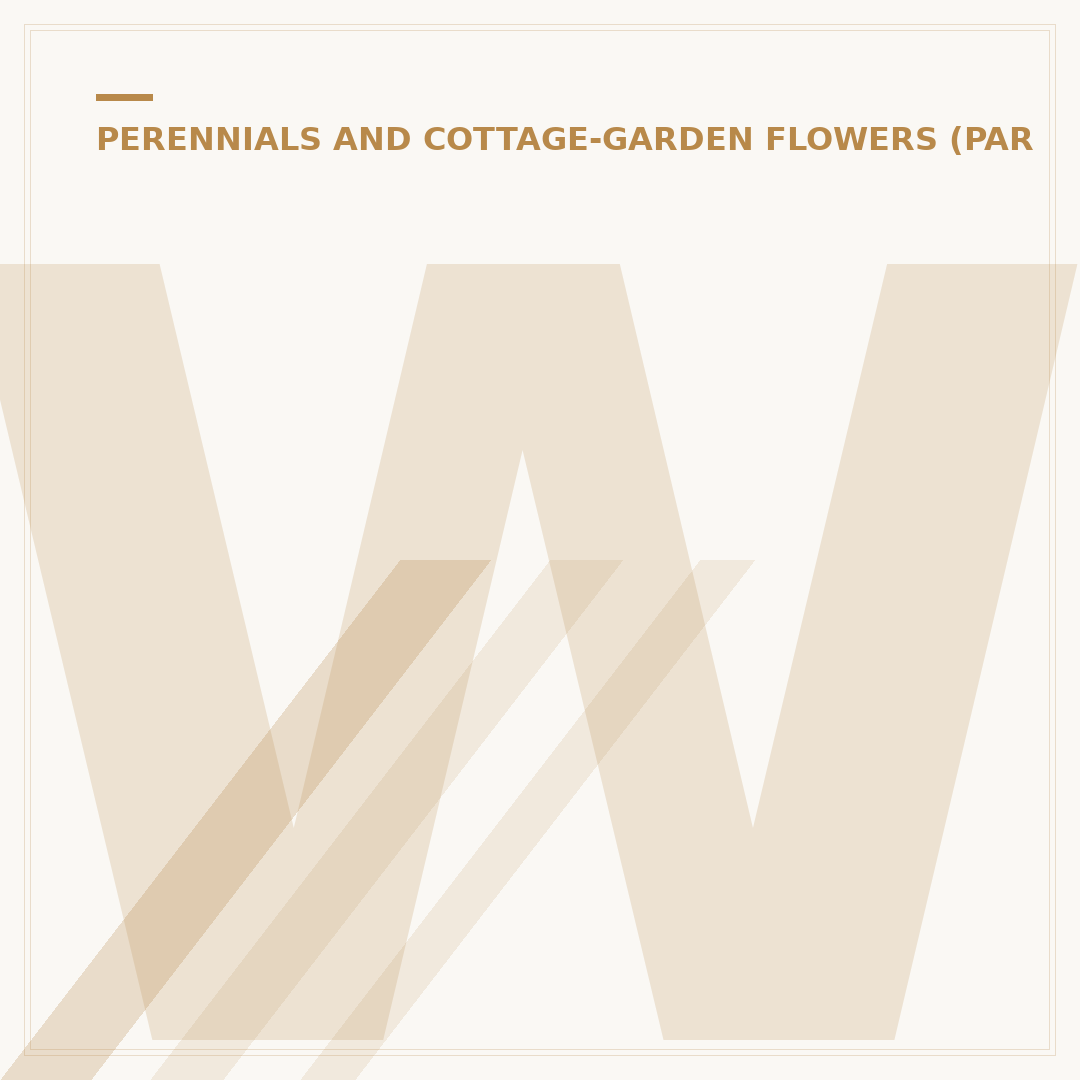 White Astilbe Plant