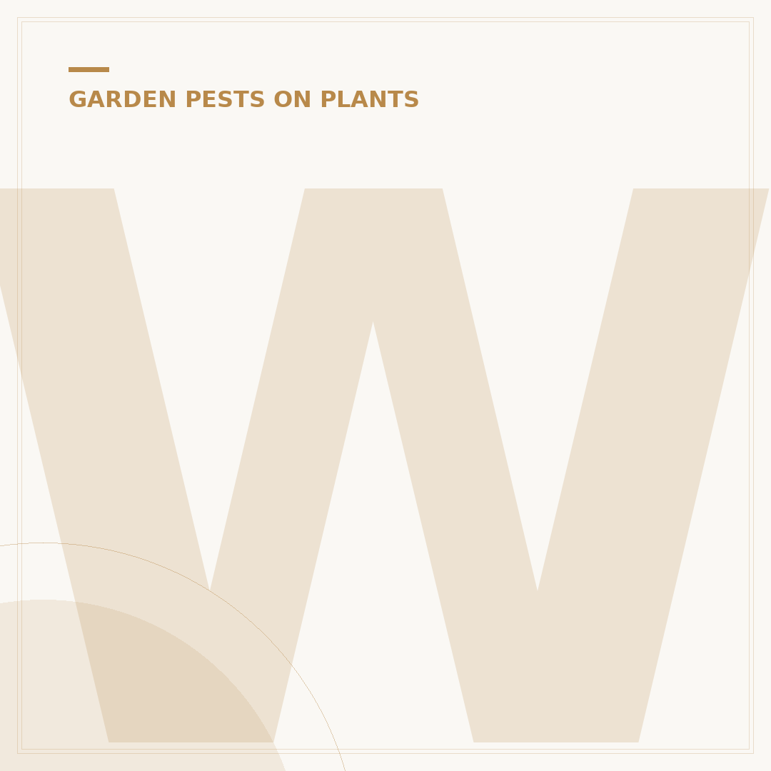 White Spider Mites on Plants: Identification and Control