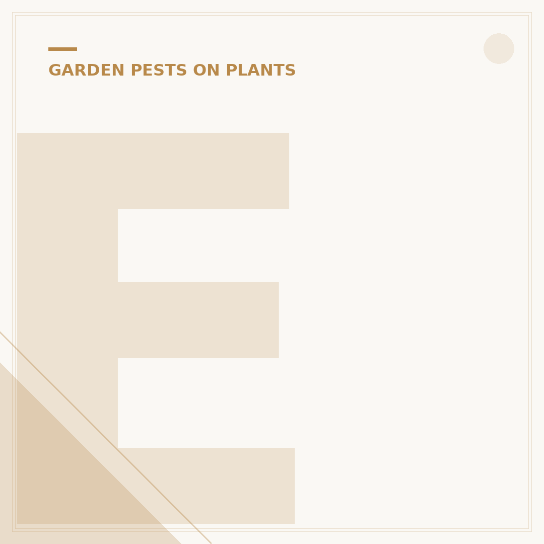 Effective Whitefly Control for Healthy Plants