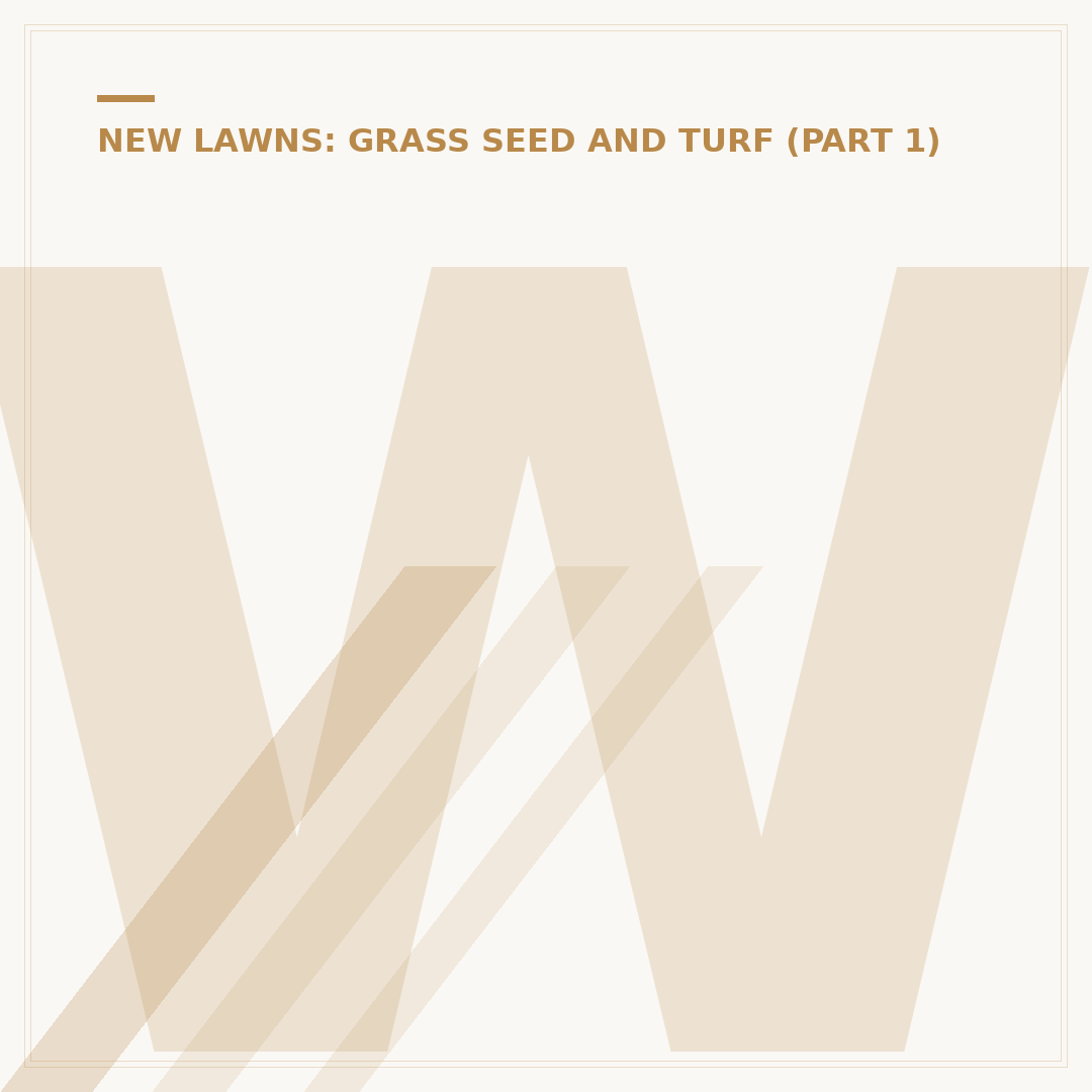 Winter Grass Seed: When to Sow and What to Choose