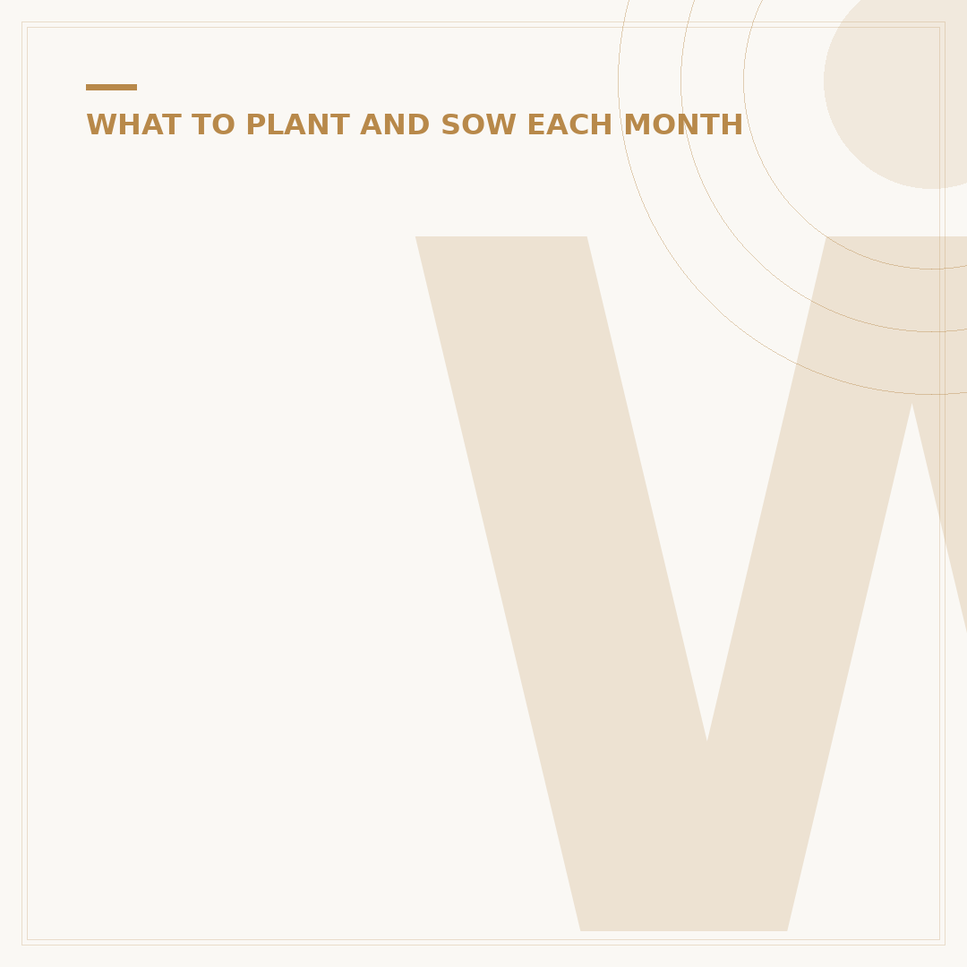 Winter Plants for Pots: Colourful Container Choices
