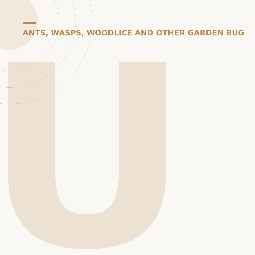 Understanding and Managing a Woodlice Infestation