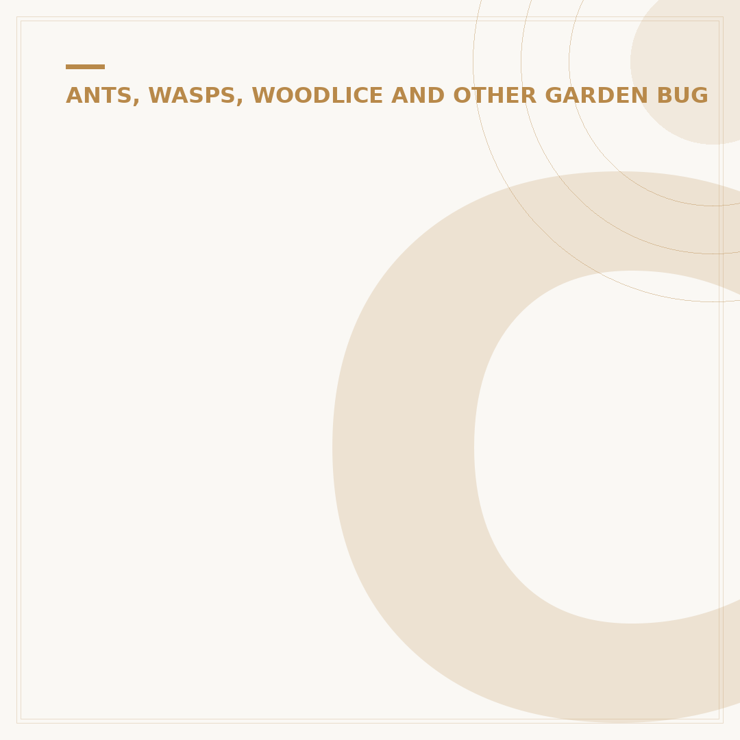 Common Names for Woodlice: What They're Called