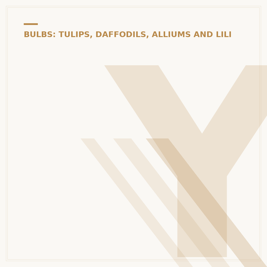 Yellow Allium Varieties: Growing & Alternatives