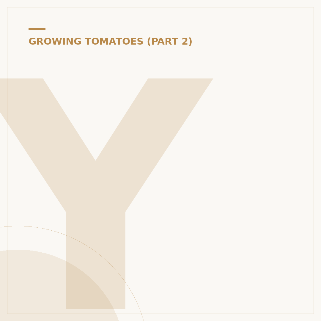 Yellow Blotches On Tomato Leaves: Causes & Solutions