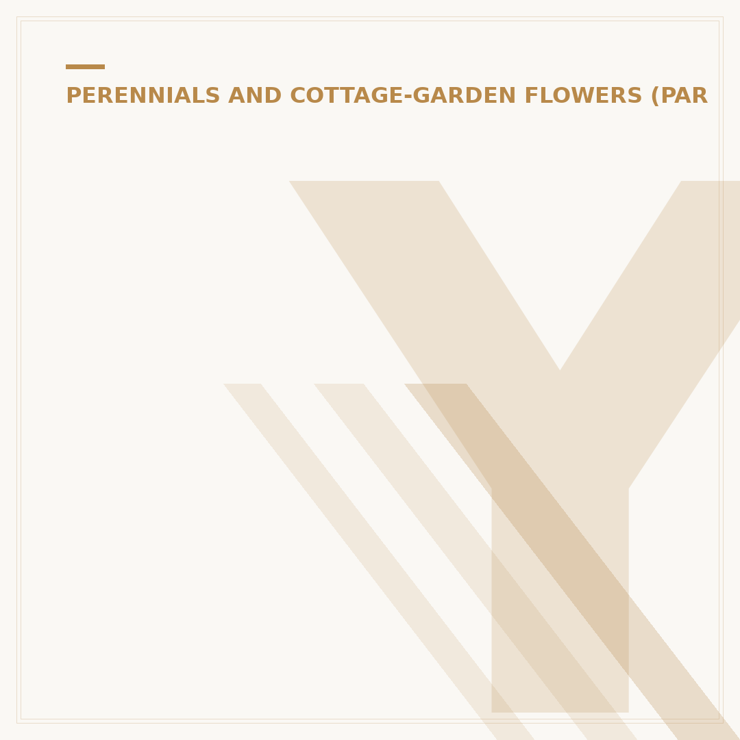 Yellow Dahlia Plant