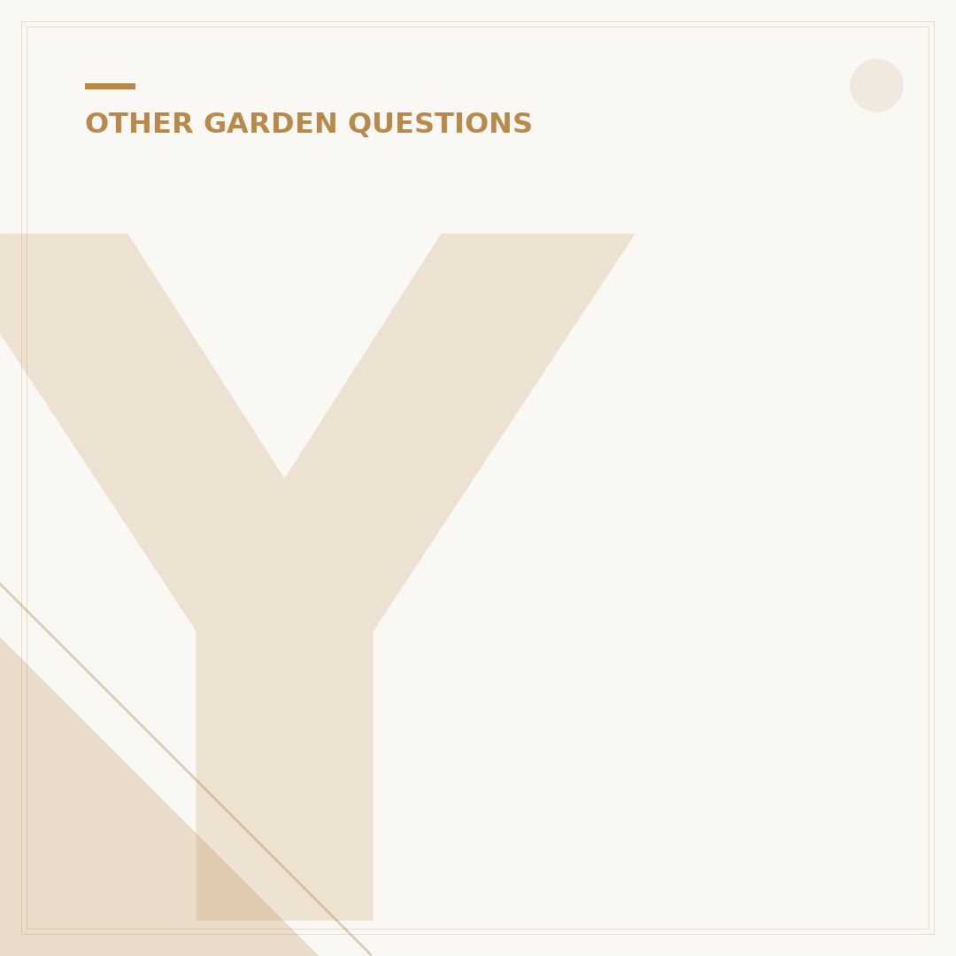 Yellow Shrubs and Bushes for Gardens