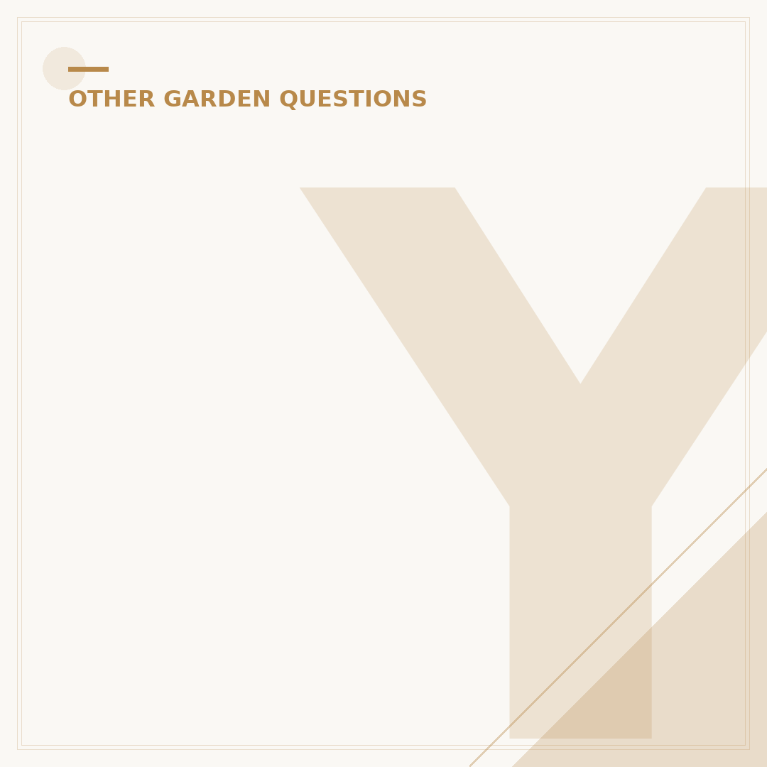 Yellow Colour Shrubs for Your Garden