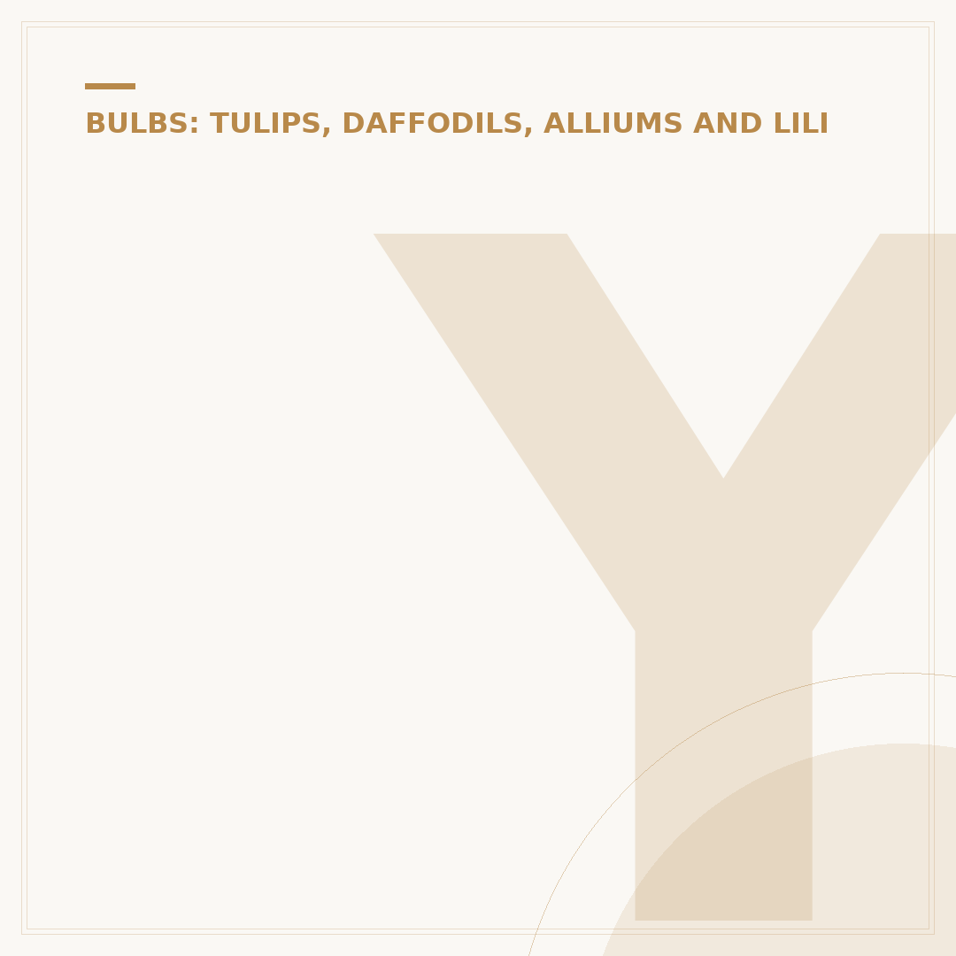 Yellow Tulips: Varieties, Symbolism, and Cultivation