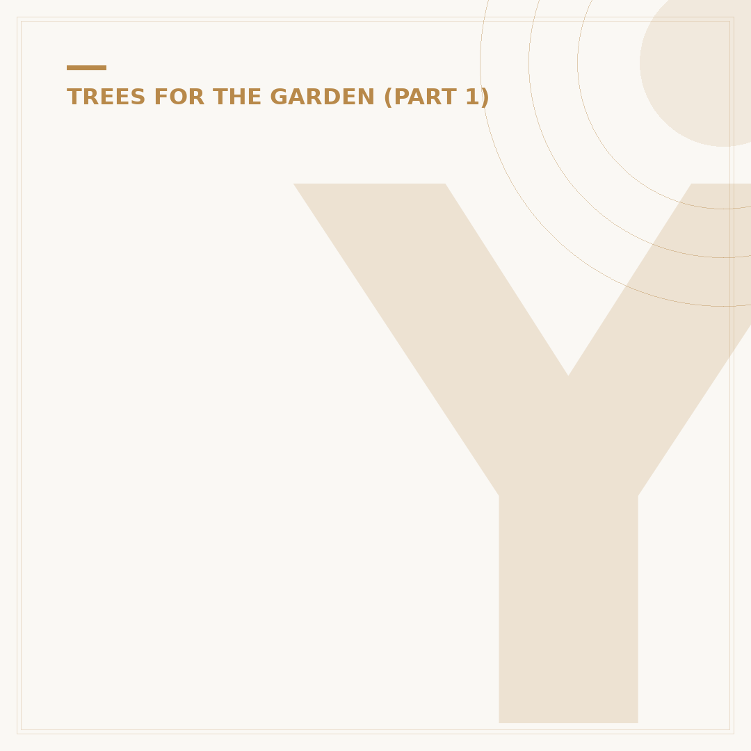 Yew Taxus Hedge: Planting, Care & Alternatives