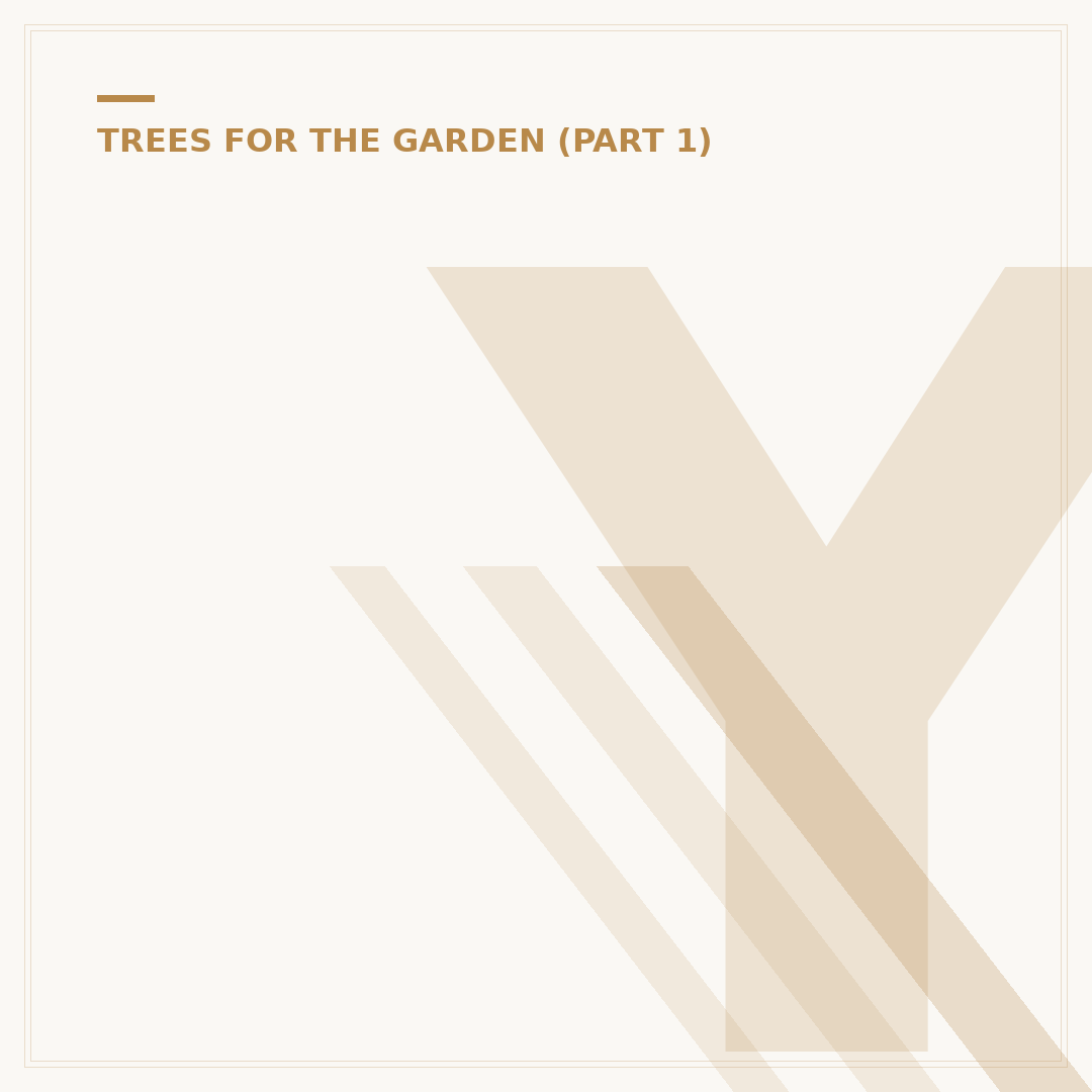 Yew Tree Frieth: Growing and Care Advice
