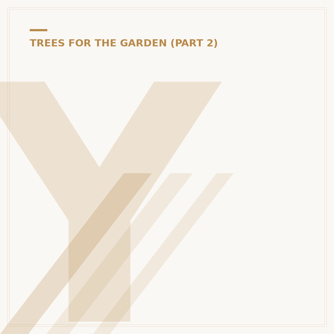 Yew Tree Identification: Key Features Explained