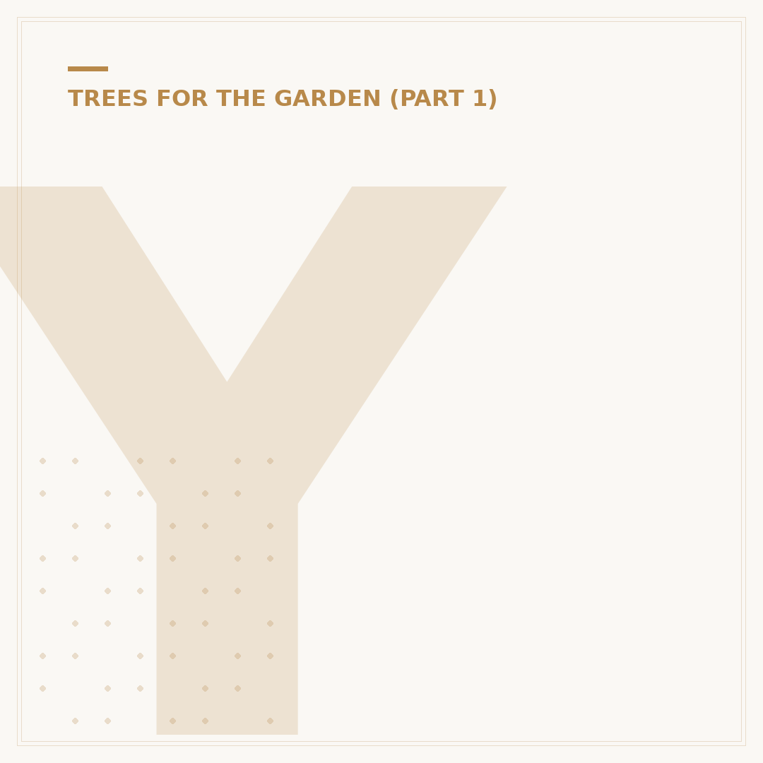 Yew Tree West Brom: Varieties & Alternatives