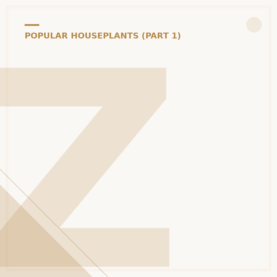 ZZ Plant (Zamioculcas Zamiifolia) Care & Alternatives