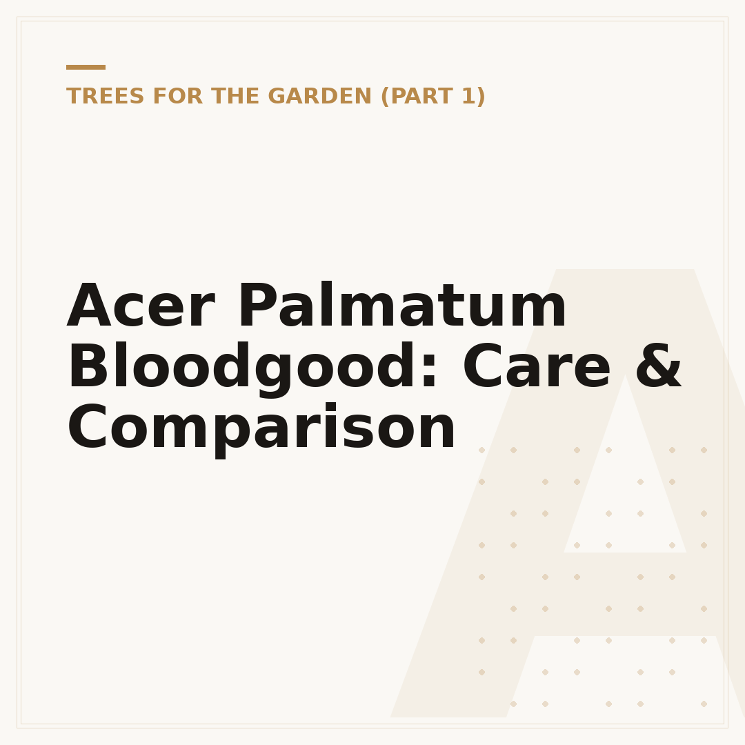 Acer Palmatum Bloodgood: Care & Comparison