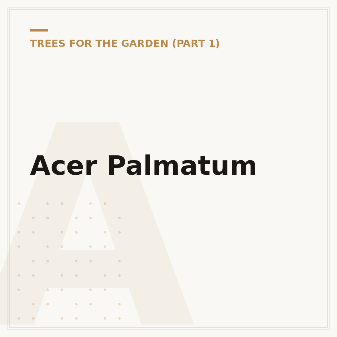 Acer Palmatum