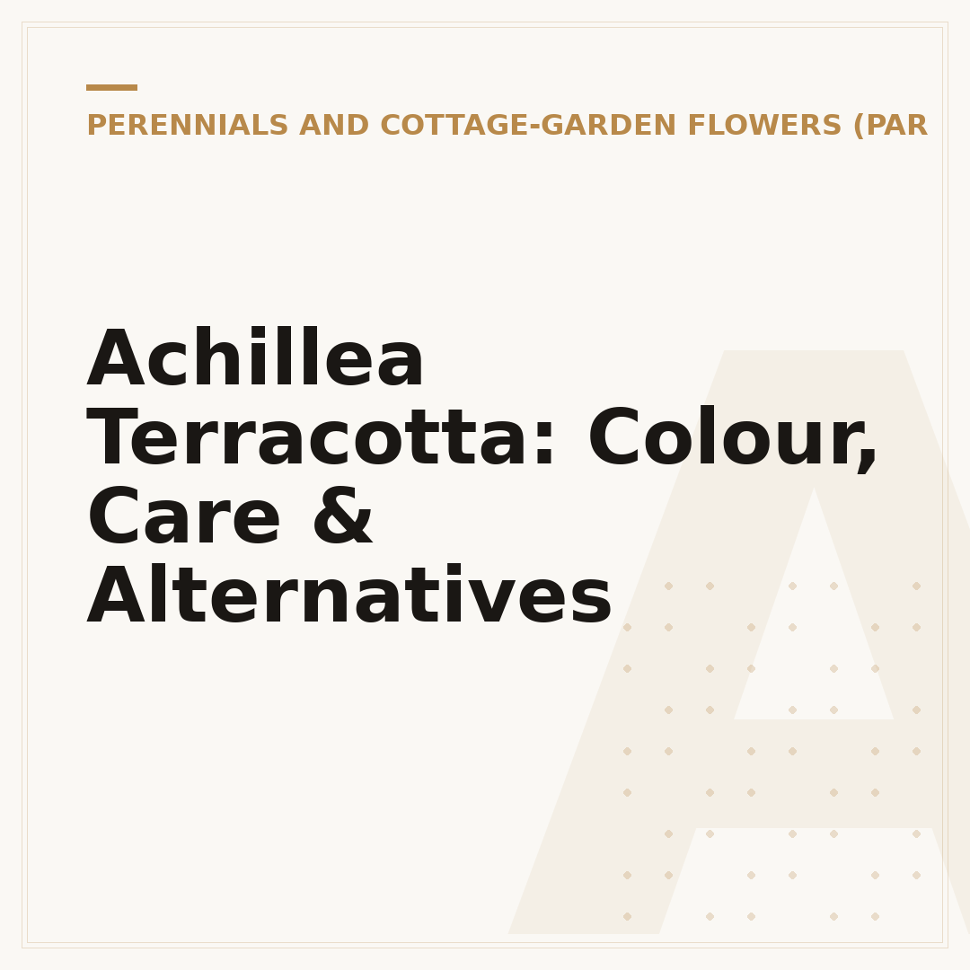 Achillea Terracotta: Colour, Care & Alternatives