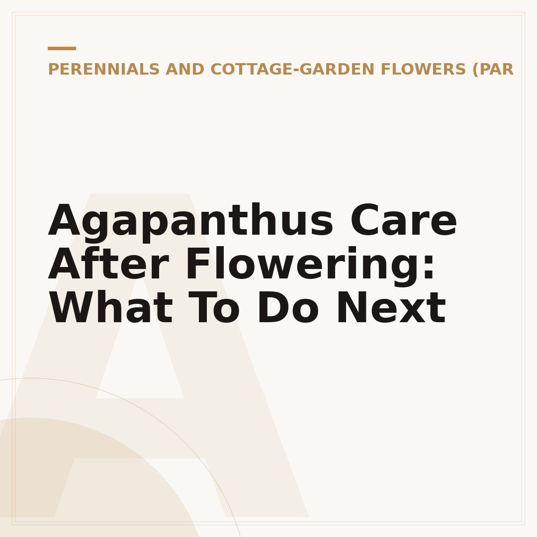 Agapanthus Care After Flowering: What To Do Next