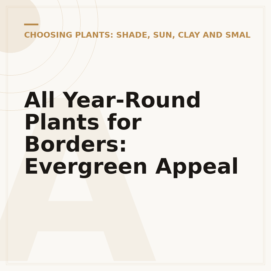 All Year-Round Plants for Borders: Evergreen Appeal