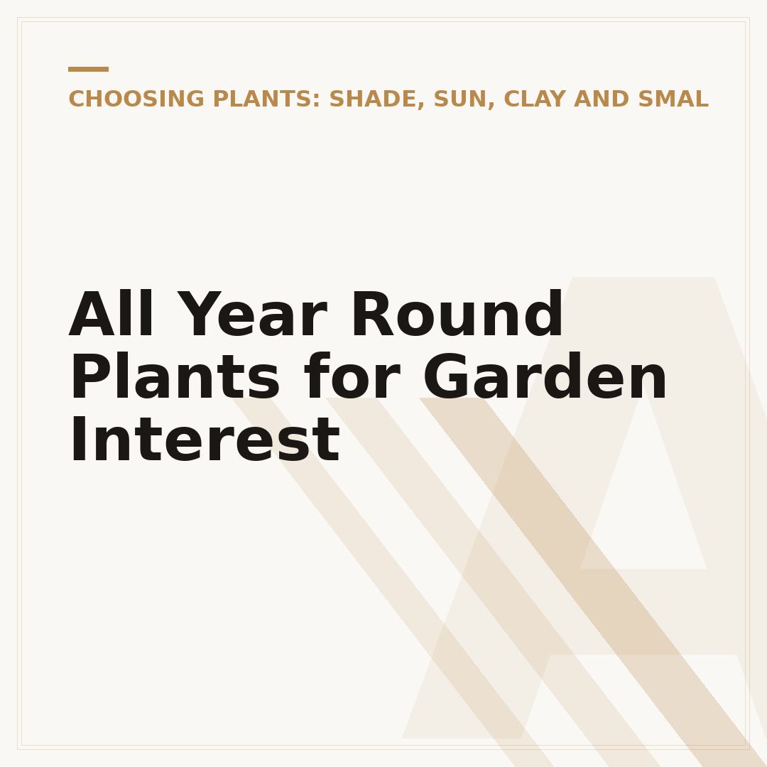 All Year Round Plants for Garden Interest