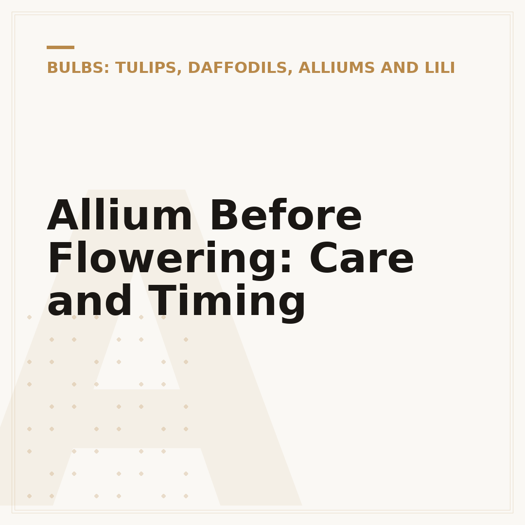 Allium Before Flowering: Care and Timing