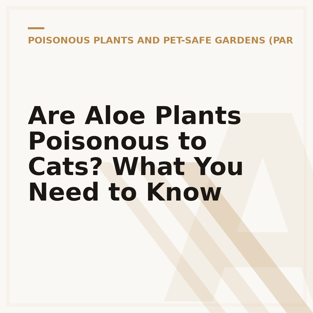 Are Aloe Plants Poisonous to Cats? What You Need to Know