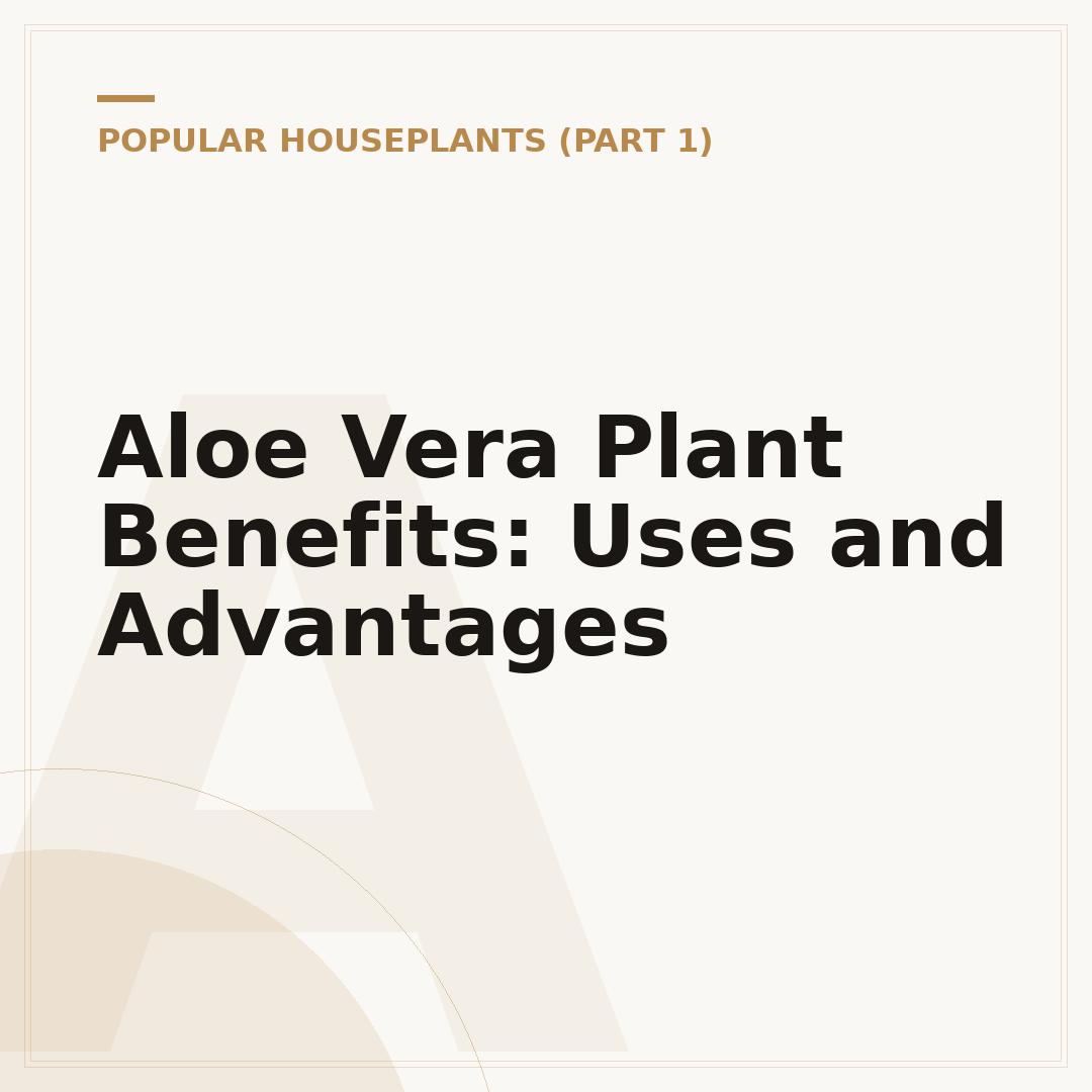 Aloe Vera Plant Benefits: Uses and Advantages