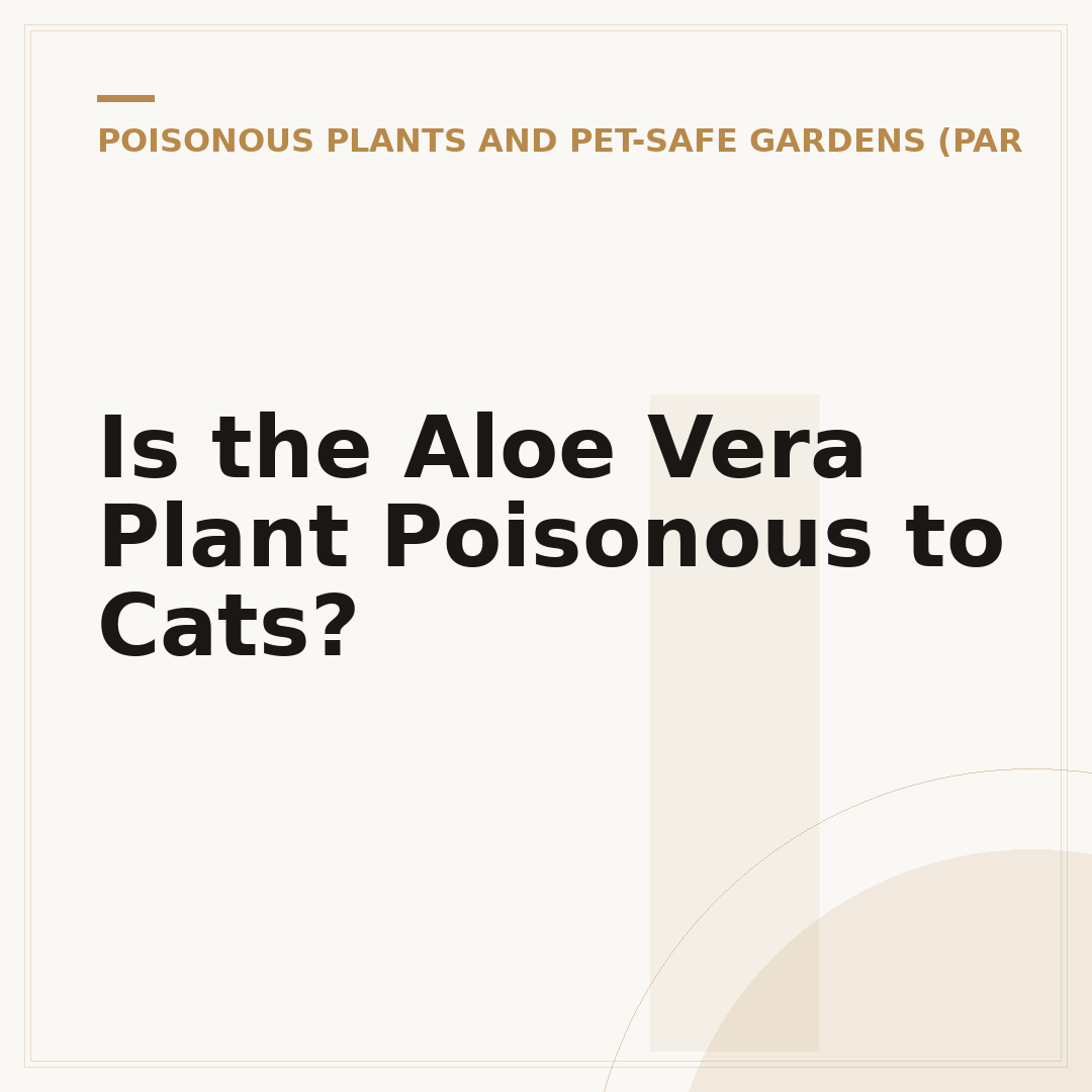 Is the Aloe Vera Plant Poisonous to Cats?