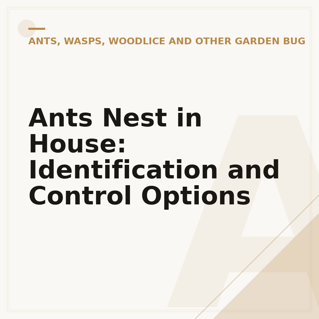 Ants Nest in House: Identification and Control Options