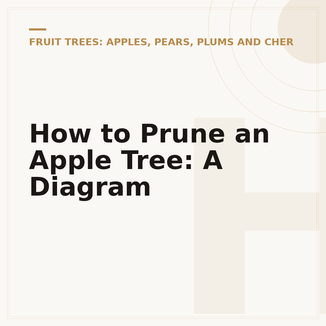 How to Prune an Apple Tree: A Diagram