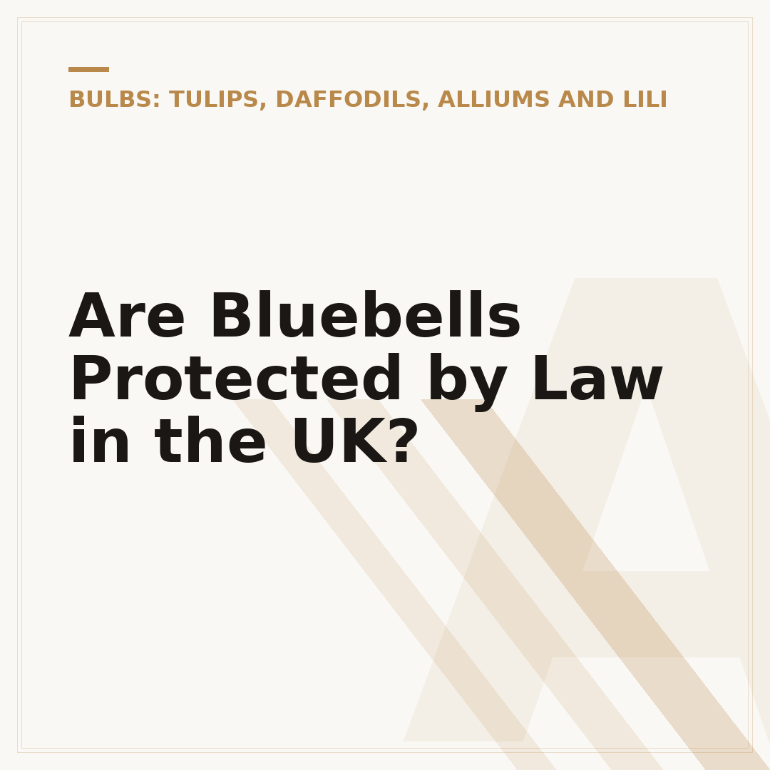 Are Bluebells Protected by Law in the UK?