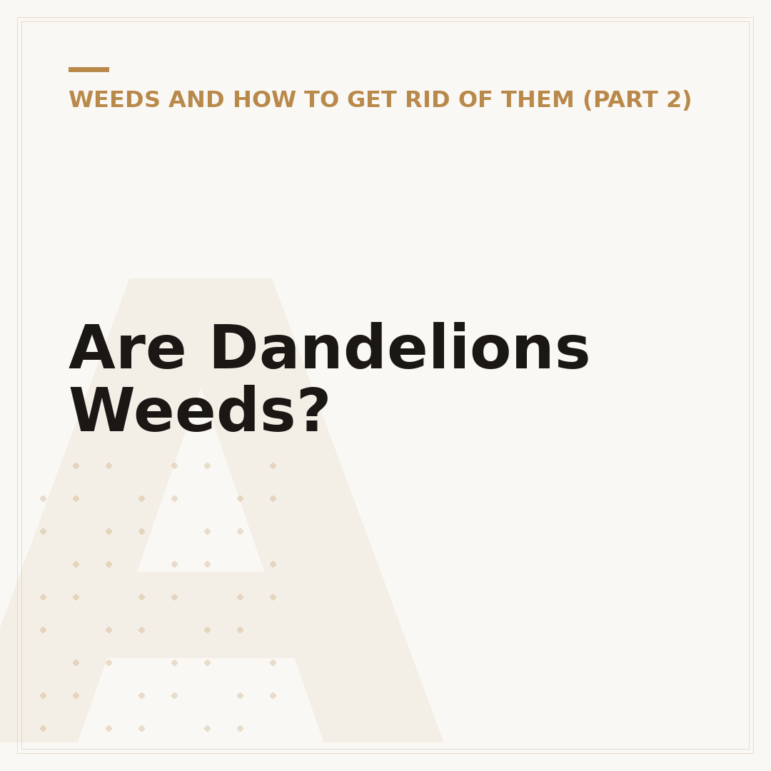 Are Dandelions Weeds?