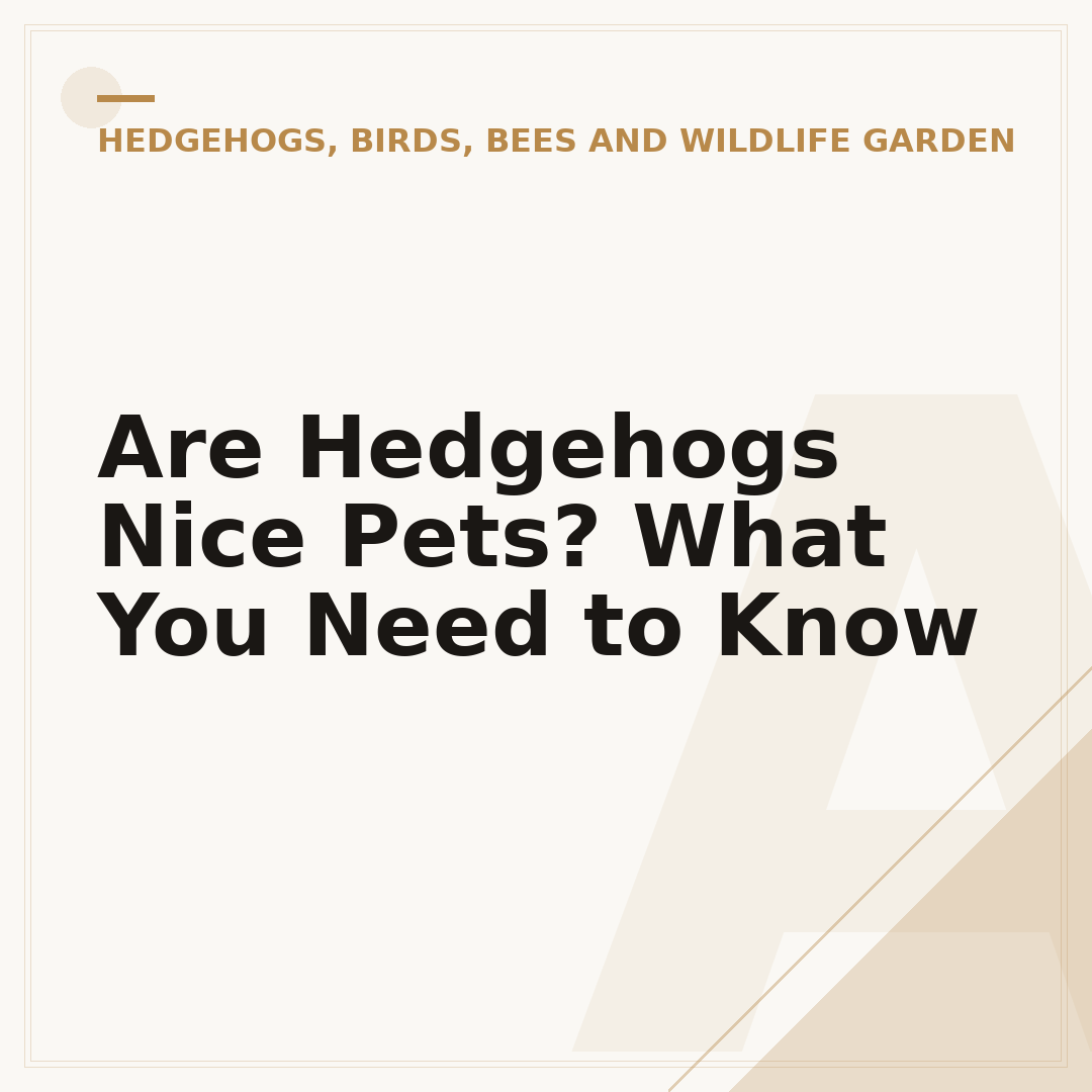 Are Hedgehogs Nice Pets? What You Need to Know