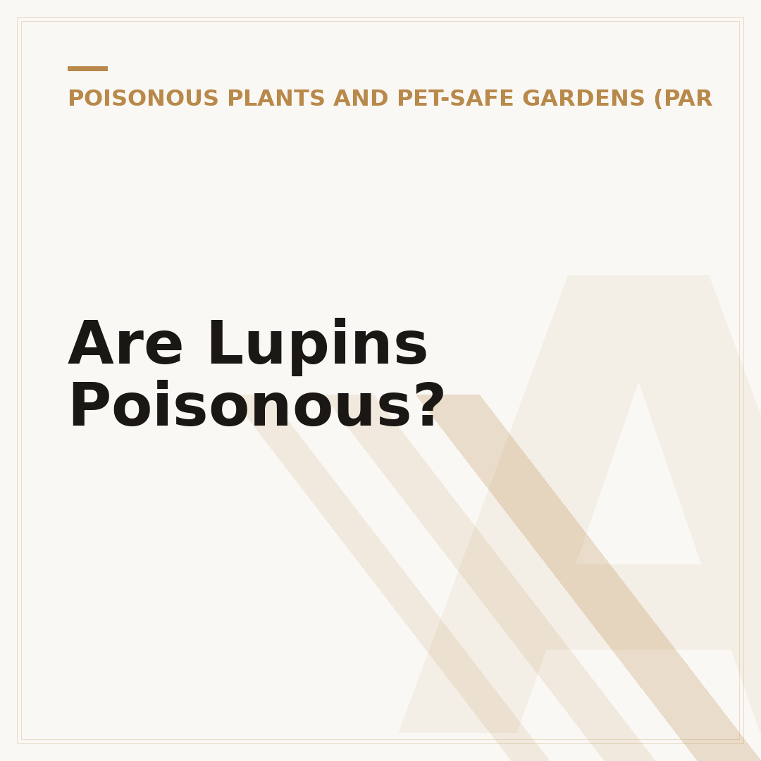 Are Lupins Poisonous?
