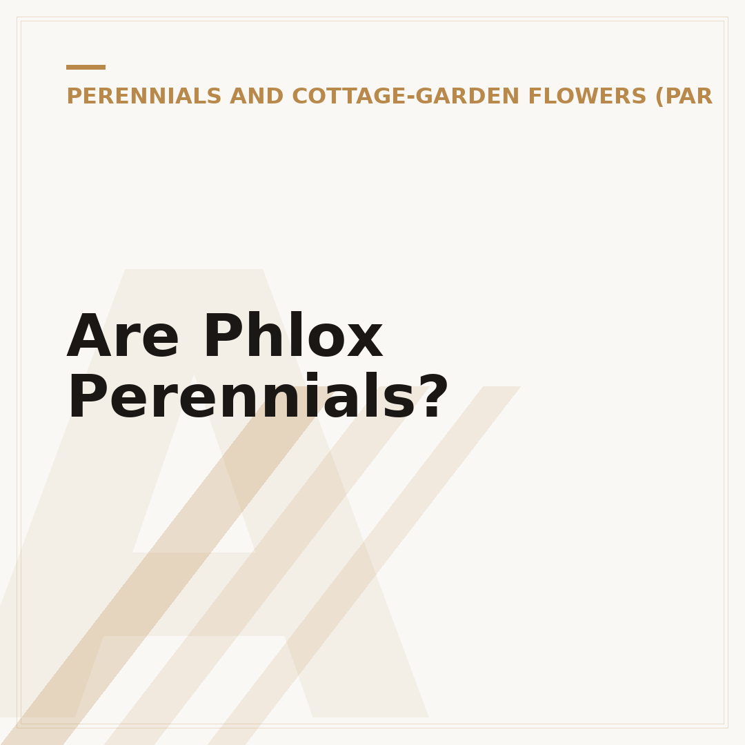 Are Phlox Perennials?