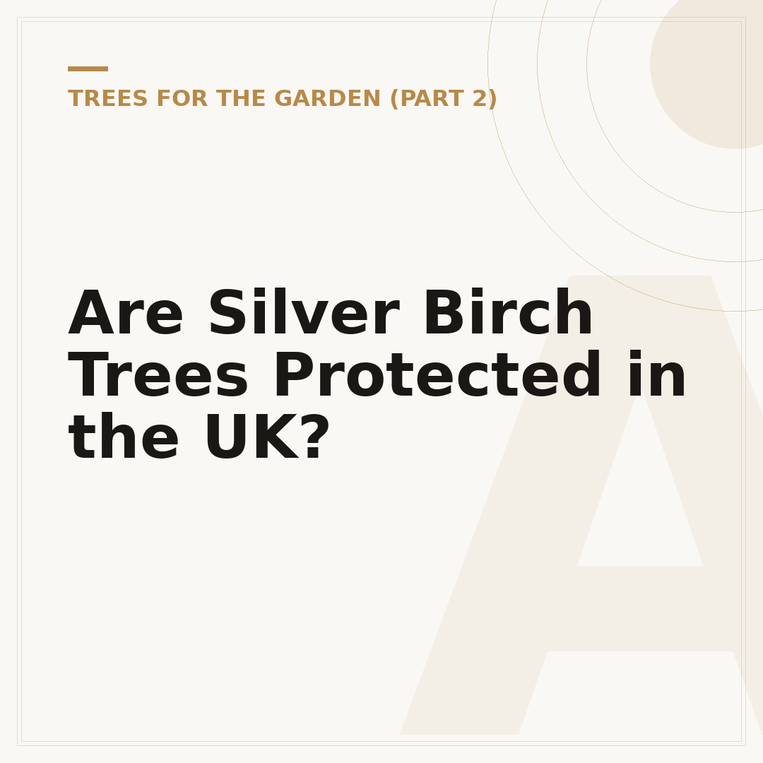 Are Silver Birch Trees Protected in the UK?