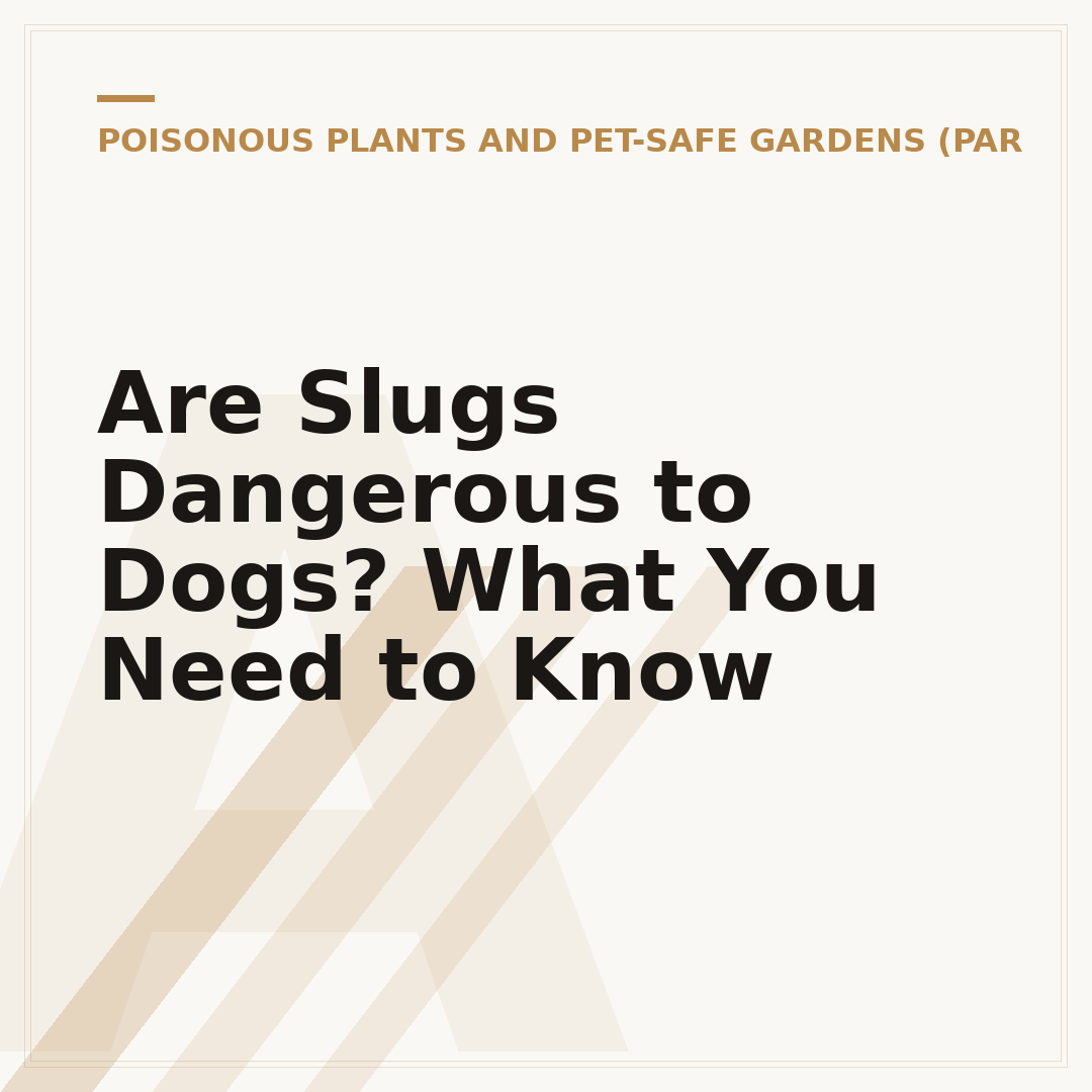 Are Slugs Dangerous to Dogs? What You Need to Know